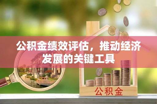 三门公积金绩效评估，推动经济发展的关键工具