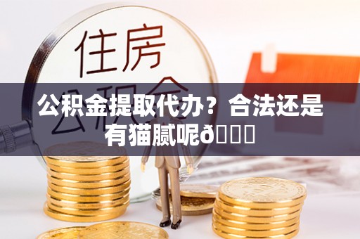 三门公积金提取代办？合法还是有猫腻呢😏